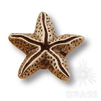 506L212 Ручка кнопка звезда морская коллекция, старая бронза